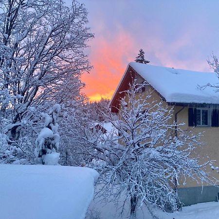 Ferienwohnung Haus Am Bach In Toggenburg Вилдхаус Екстериор снимка
