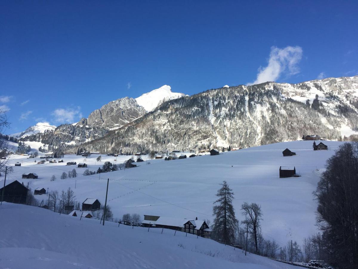 Ferienwohnung Haus Am Bach In Toggenburg Вилдхаус Екстериор снимка