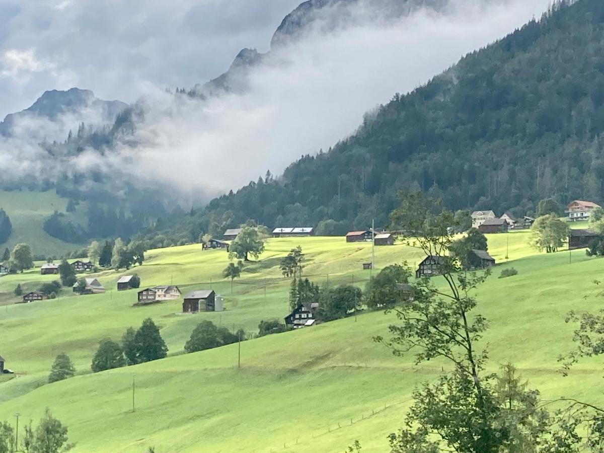 Ferienwohnung Haus Am Bach In Toggenburg Вилдхаус Екстериор снимка