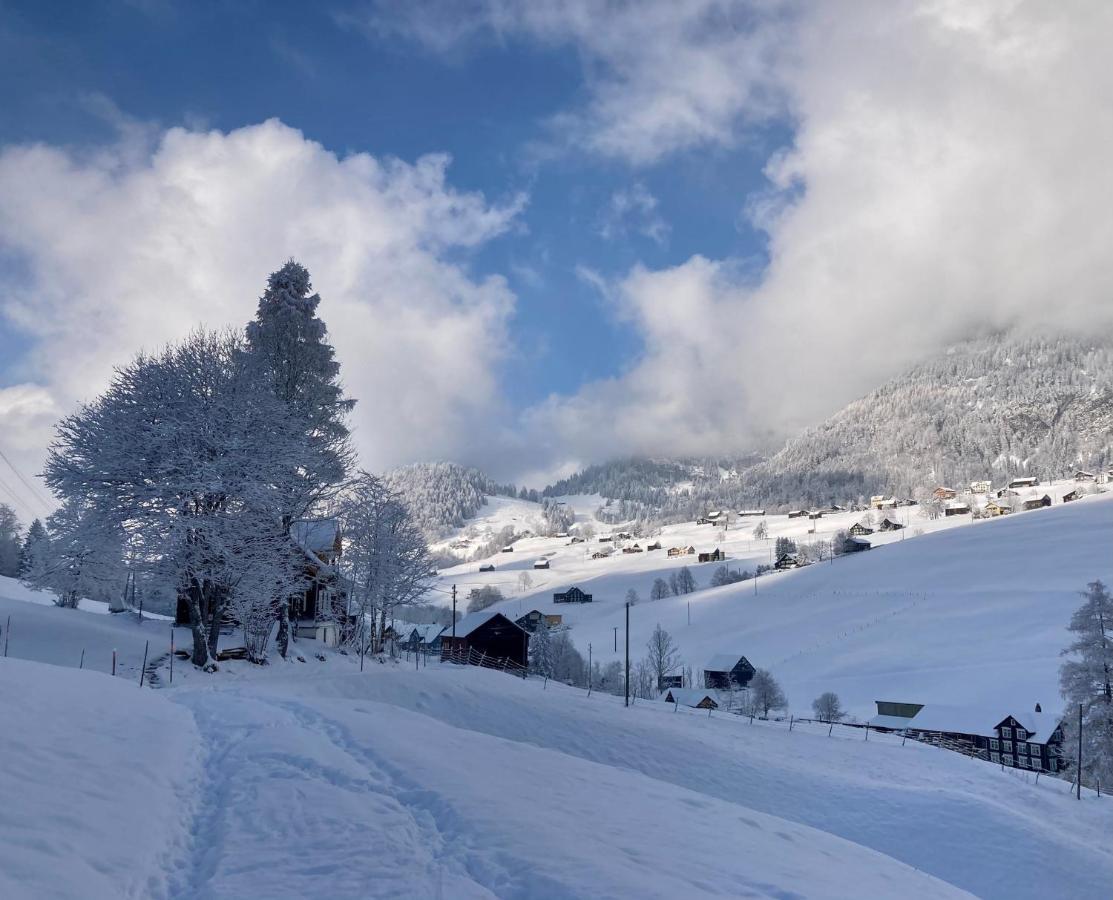 Ferienwohnung Haus Am Bach In Toggenburg Вилдхаус Екстериор снимка