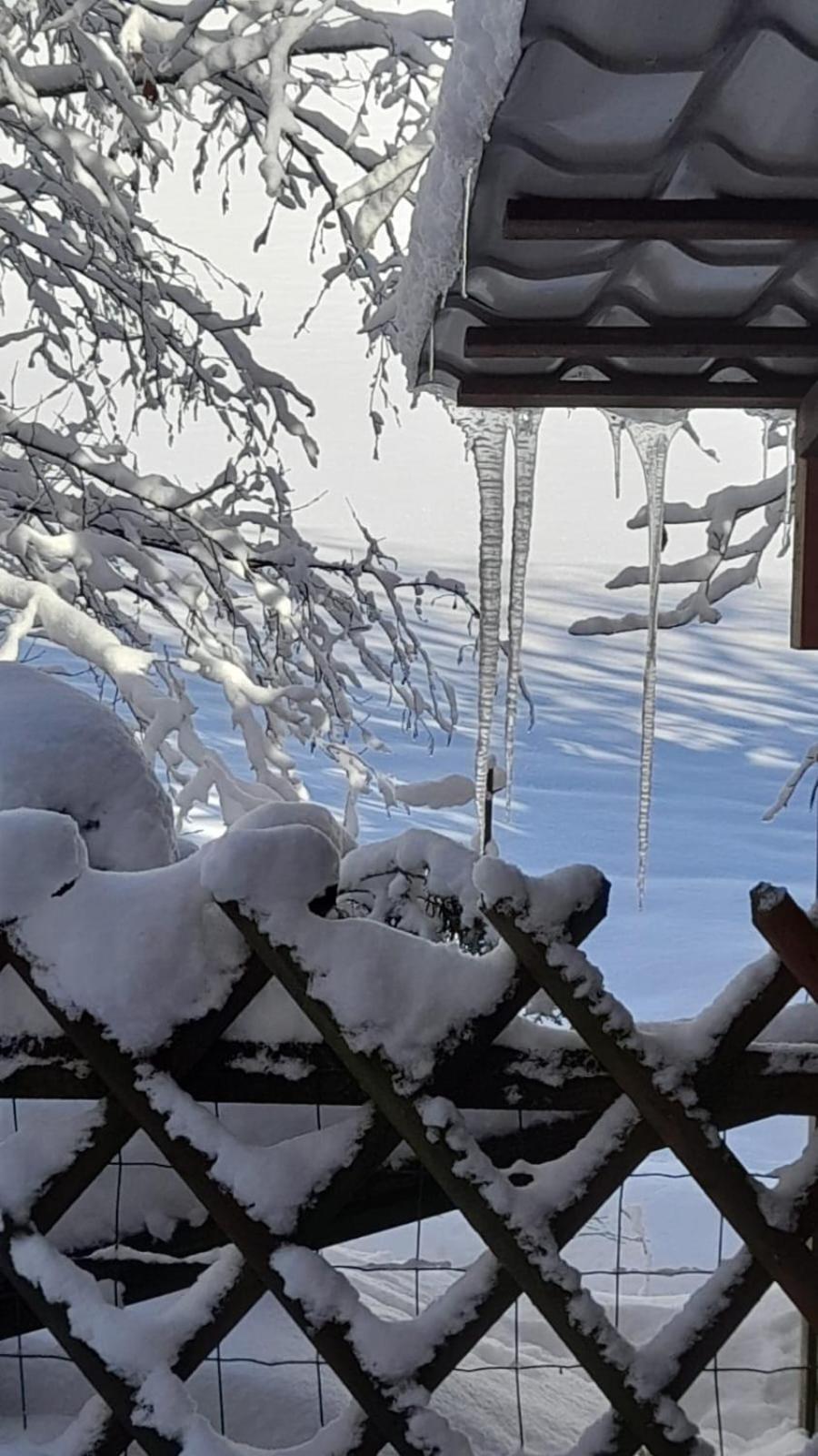 Ferienwohnung Haus Am Bach In Toggenburg Вилдхаус Екстериор снимка
