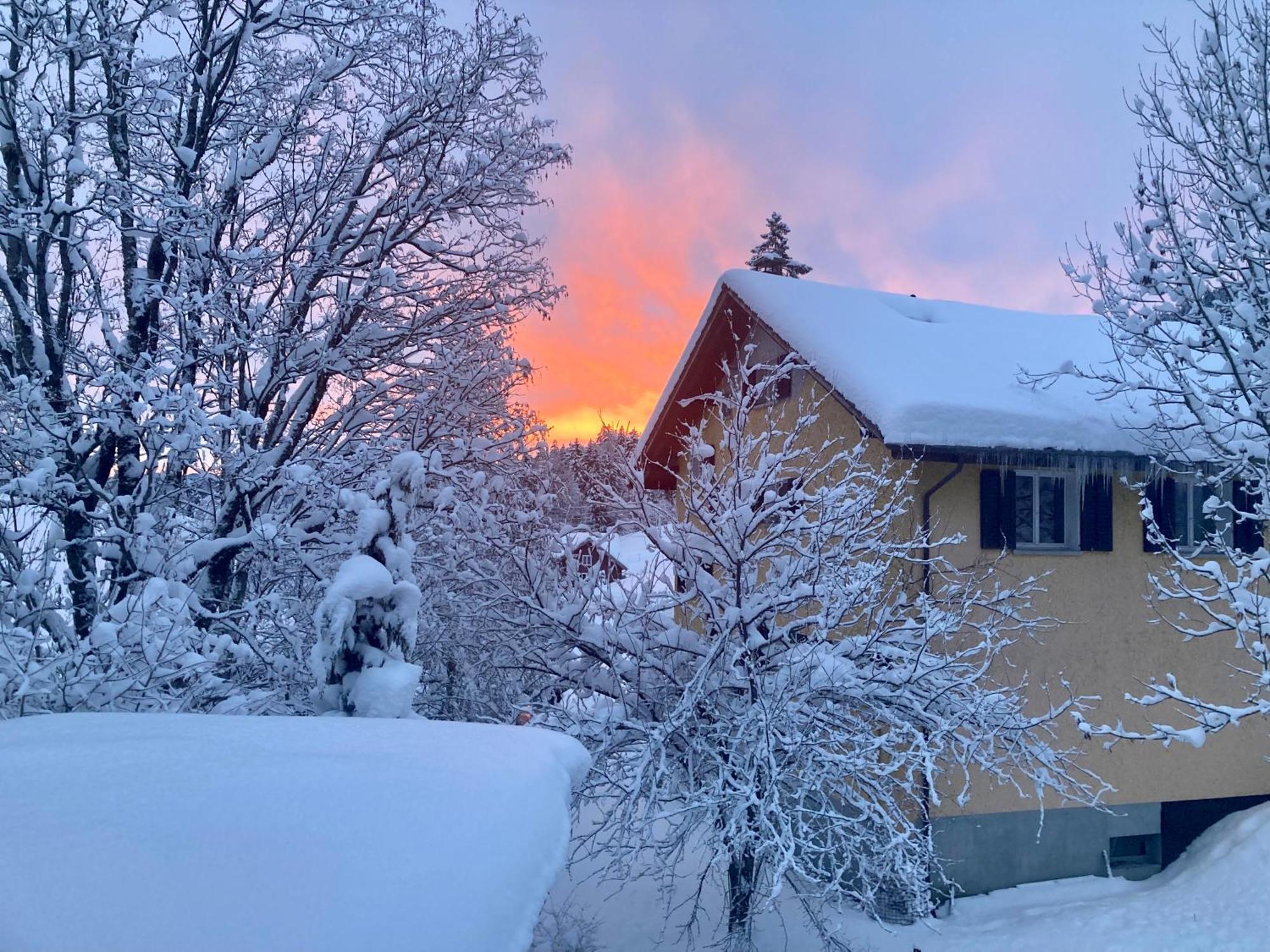Ferienwohnung Haus Am Bach In Toggenburg Вилдхаус Екстериор снимка