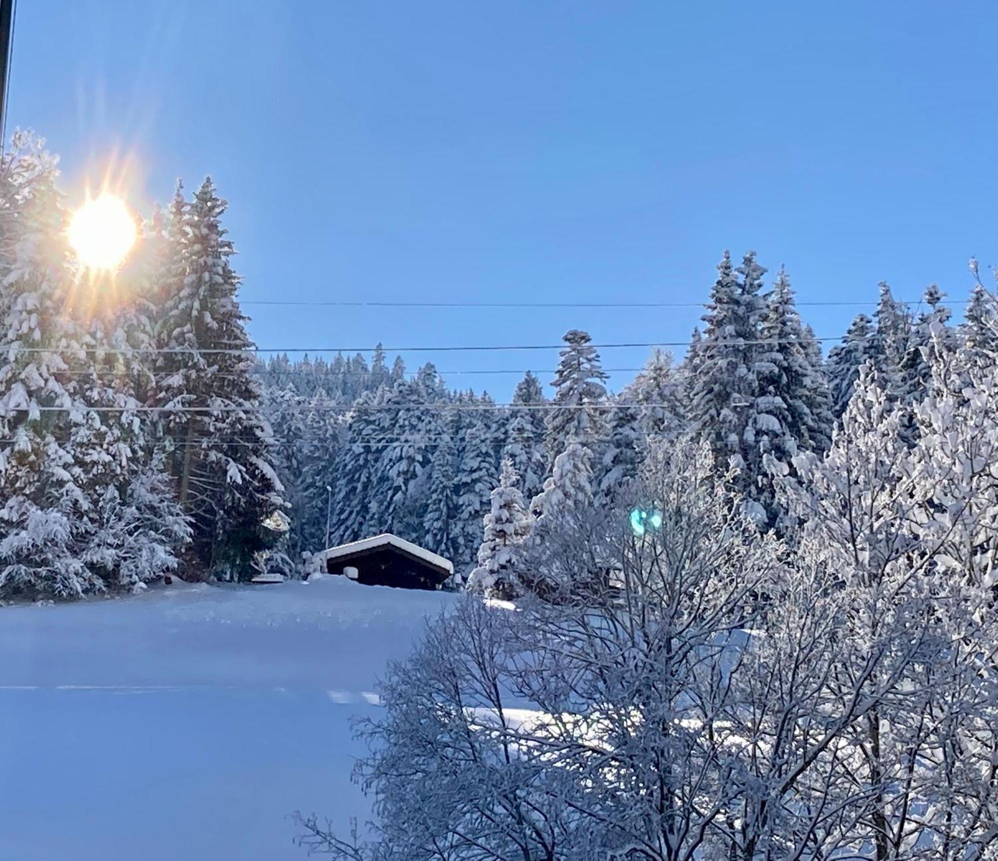 Ferienwohnung Haus Am Bach In Toggenburg Вилдхаус Екстериор снимка