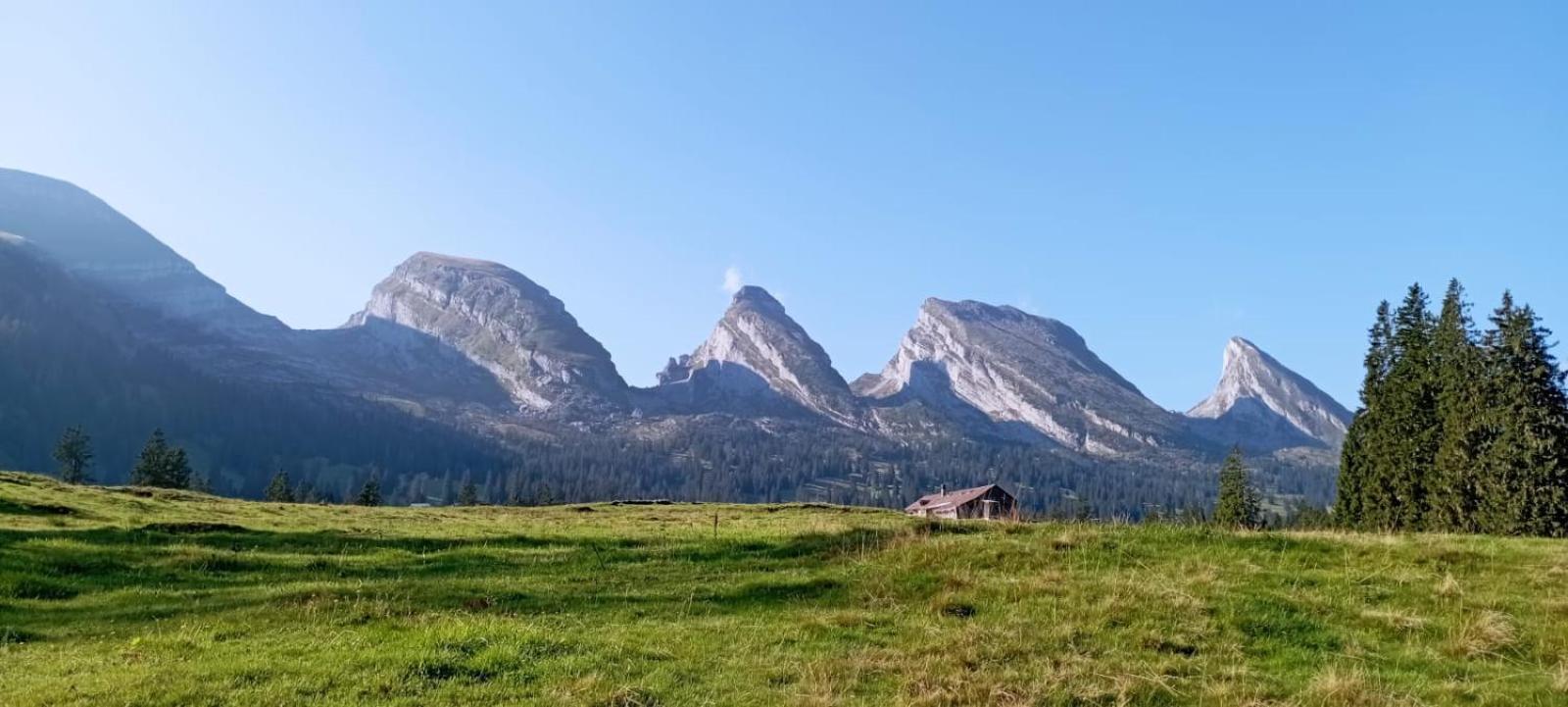 Ferienwohnung Haus Am Bach In Toggenburg Вилдхаус Екстериор снимка
